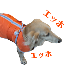 大阪弁の犬