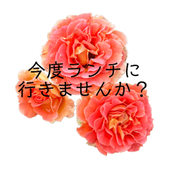 ほんのり丁寧。バラのスタンプ【ママ友編】