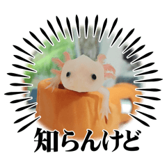 niche_20250519031020