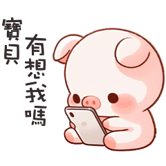 (˶´⚇`˵) 小粉豬找寶貝