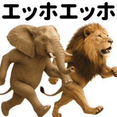 They are friends from a big zoo.