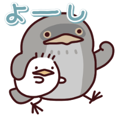 ガマグチヨタカの日常色々