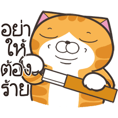 เหมียวซ่า : อย่าหยุดซน