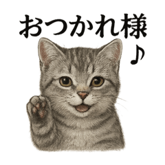 MINA_20250519171459 – LINE stickers | LINE STORE