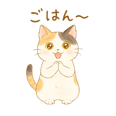 やさしいねこの毎日スタンプ