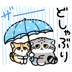 Loosely Manul cat19