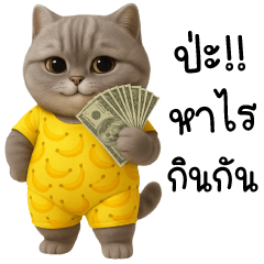 Meow with a mischievous face