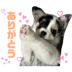 ぶうちゃん＆イケメン