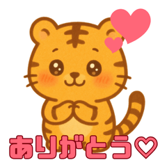 Shy Tigers Honest Feelings