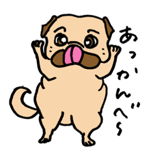 Am I a pug?