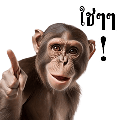 move! moving monkey!(THA)