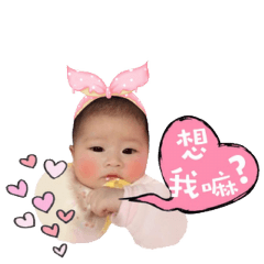 昕昕小寶包
