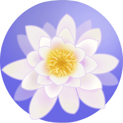 荷家平安 2 動態貼圖