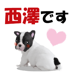 西澤さんが使う可愛い子犬の名前スタンプ
