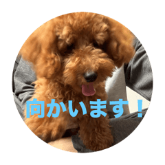 名前は、レオくん