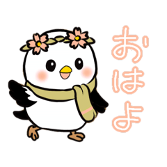 シマエナガのユキまる～Springver