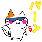 Crazy cat!