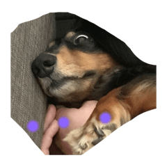 kuuta_20250515143653