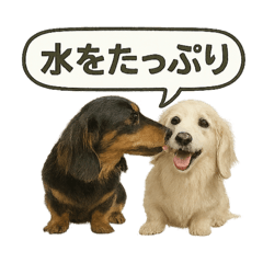 ららら　犬