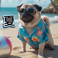 pop-up summar pag dog