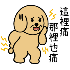 黃金犬狗蛋：大人的煩惱