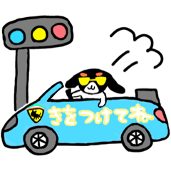 akari_20250519164631