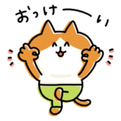 freewheeling lifestyle cat