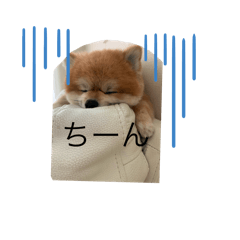 Asuka_20250519211957