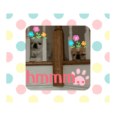 Nana & Hana moving