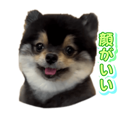 megaro_20250519214820