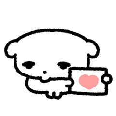 과묵한 강아지 묵뭉이