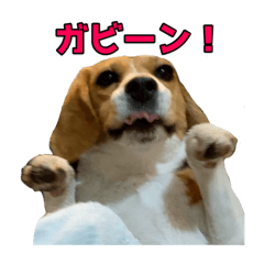 ナッツちゃんねるスタンプ（第5弾）