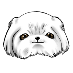 Dog: Sticker Pekingese