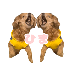 Papaya army_20250520160535