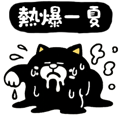 TempoMeow | Hot summer