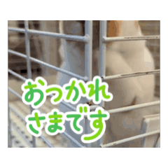 JIN_20250520181704