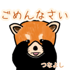 Tsunayoshi's lesser panda