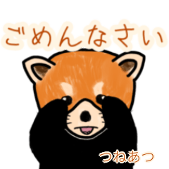 Tsuneatsu's lesser panda