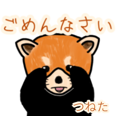 Tsuneta's lesser panda
