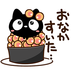 Very cute black cat162