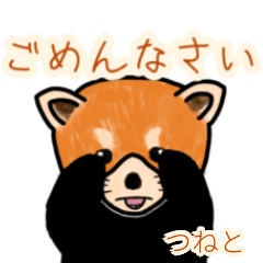 Tsuneto's lesser panda