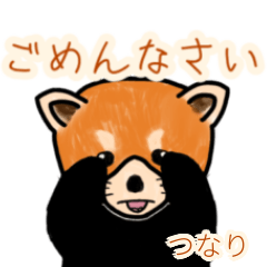 Tsunari's lesser panda