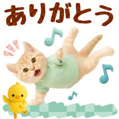 ▶飛び出る癒しにゃんこの敬語スタンプ