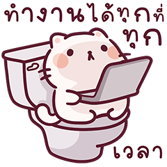 แมวพีนัท V.2