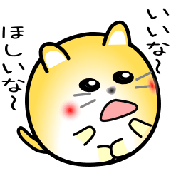 nobobi cat