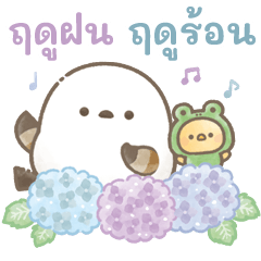 ฤดูฝน ฤดูร้อน＊โมจินุ่มนิ่ม!นกชิมะเอนากะ