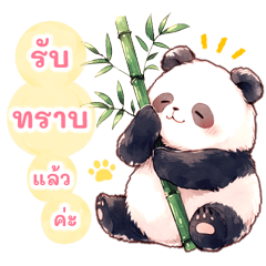 แพนด้า คำสุภาพ (ฤดูฝน ฤดูร้อน)