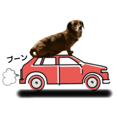 愛犬ことらの使えるスタンプ（15）