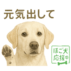 推しワン★ラブラドールのやさしい言葉