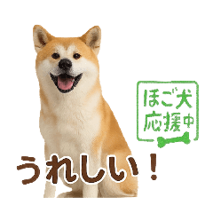 推しワン★秋田犬スタンプ・ほんわか感情便